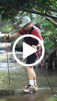 BIB:  <button type="button" onclick="openModal(27808196)" class="btn btn-primary btn-sm float-right" data-toggle="modal" data-target=".modal-high-quality">
                <i class="fa fa-download"></i> Download
                </button>